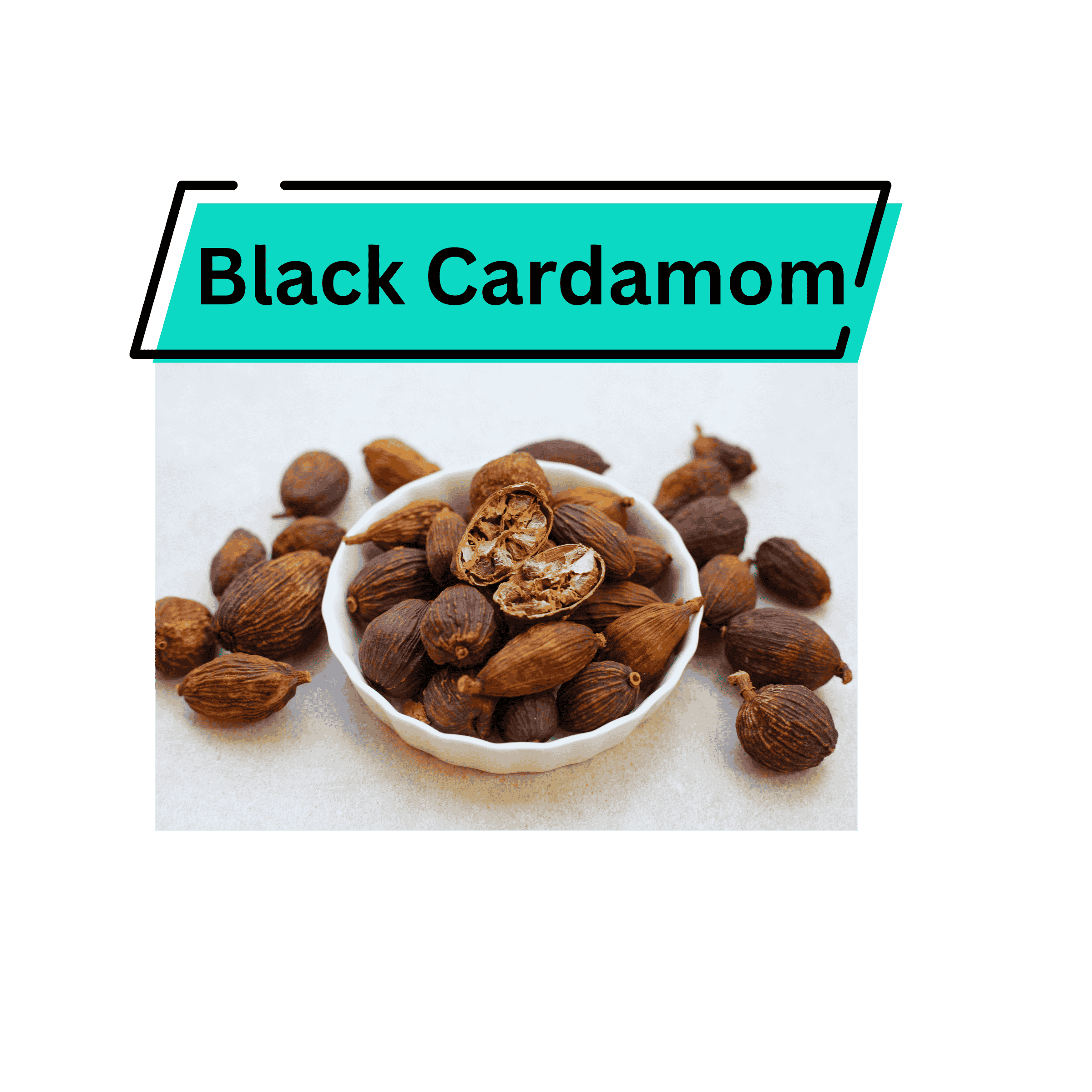 Black Cardamom